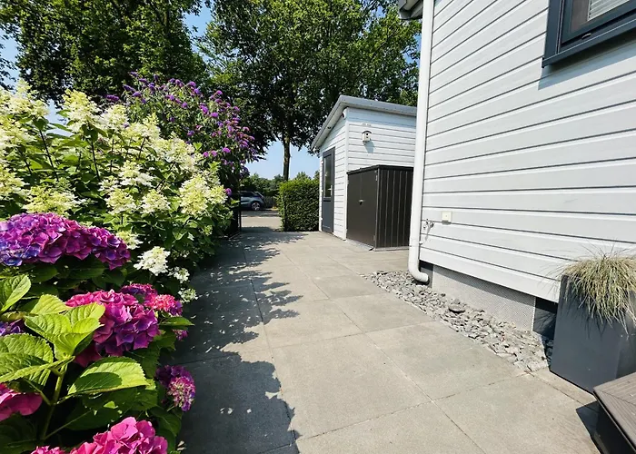 Klein Vink - Boulevard 16