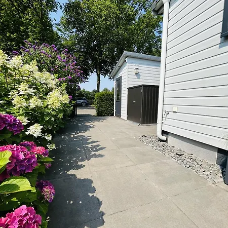 Klein Vink - Boulevard 16