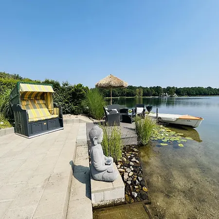 Klein Vink - Boulevard 16